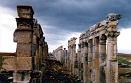 Hama_Aphamea