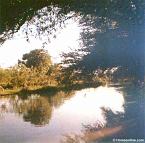 Homs_HomsOrontesRiver