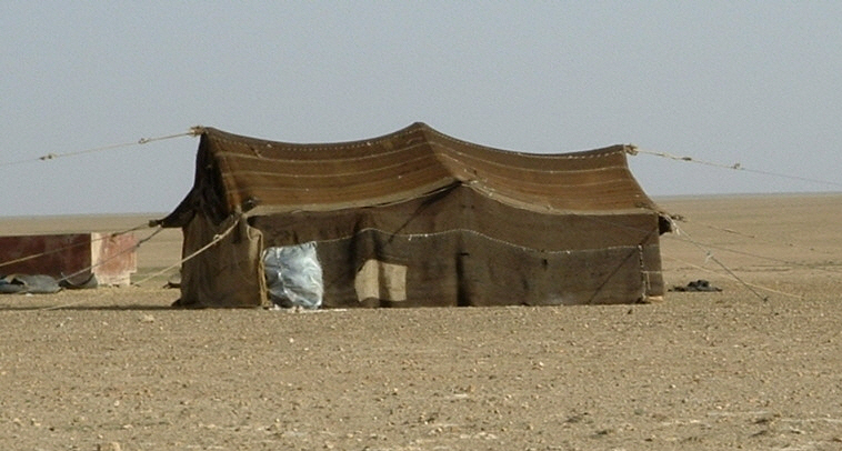 Abukamal_BedouinTent.jpg - Bedouin Tent, Abu Kamal, Syria