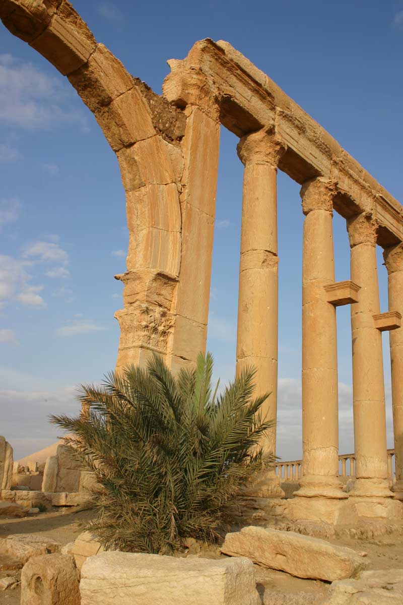 Palmyra_CardoMaximus12.jpg - Syria, Palmyra, Cardo Maximus